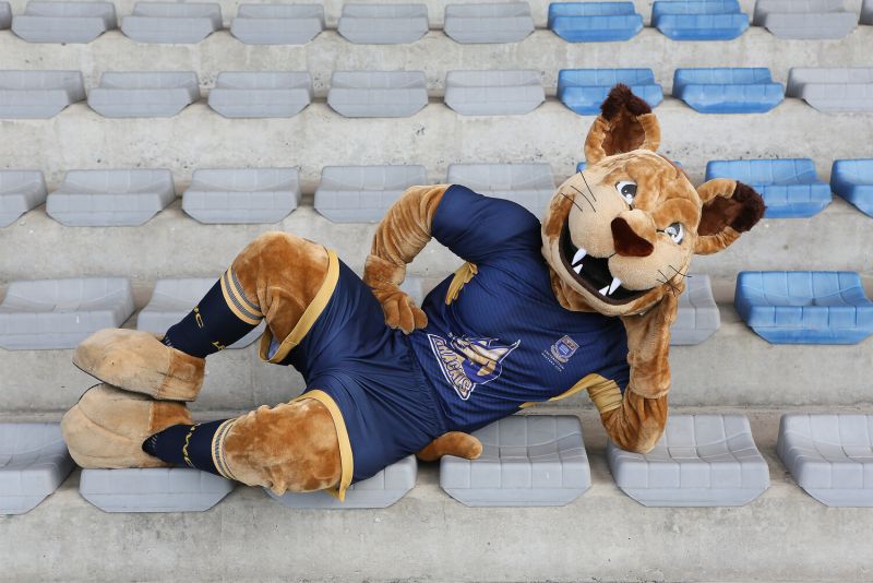 Caracal Rebrand