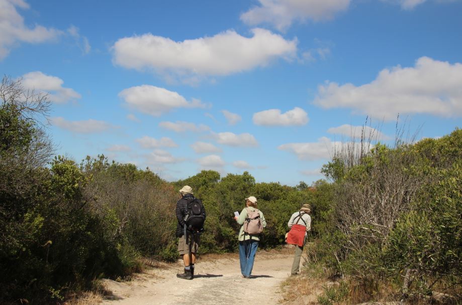 Hiking